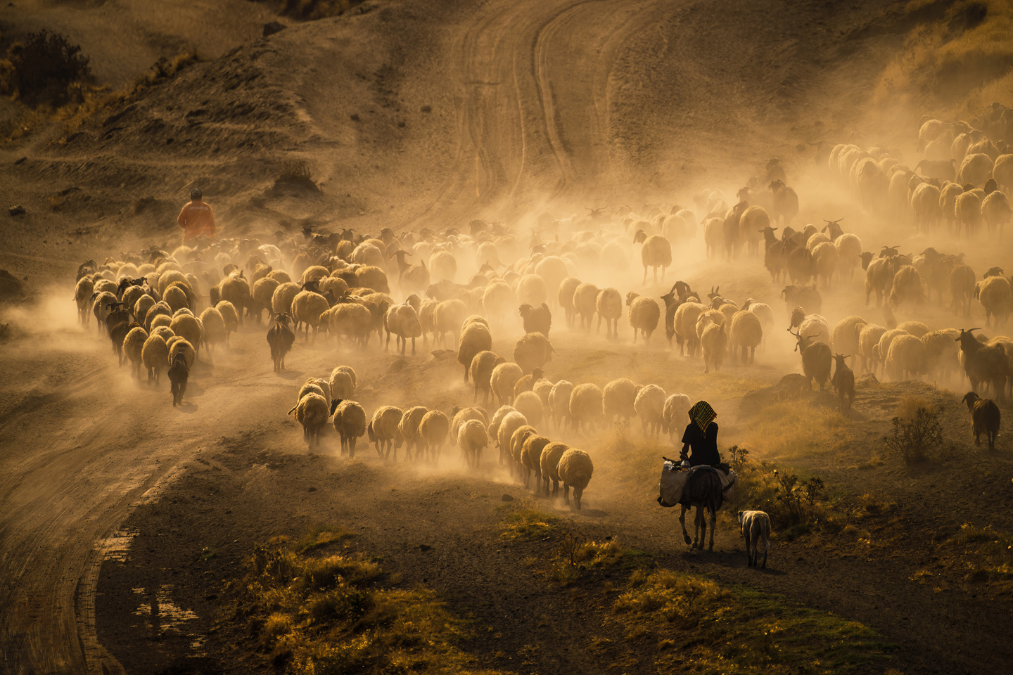 © Saadet Banu Nazikcan, Türkiye, entry, Open Competition, Travel, 2026 Sony World Photography Awards